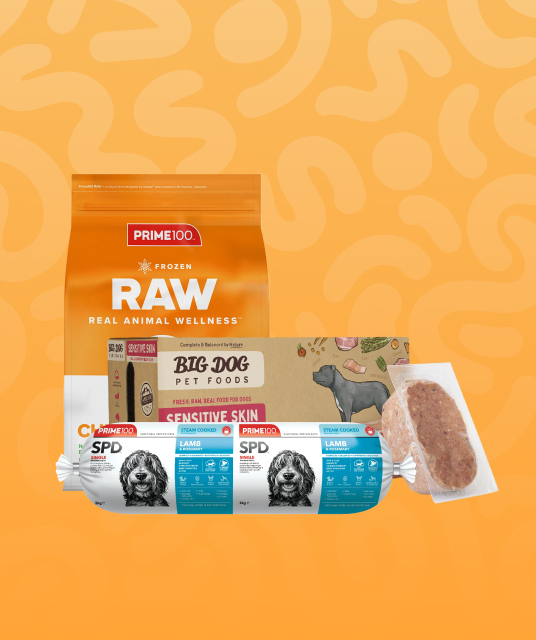 bondage hook - Professional Guide and Review