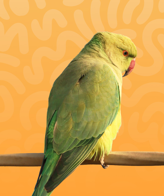 adult store - best selling adult toys hong kong 2025