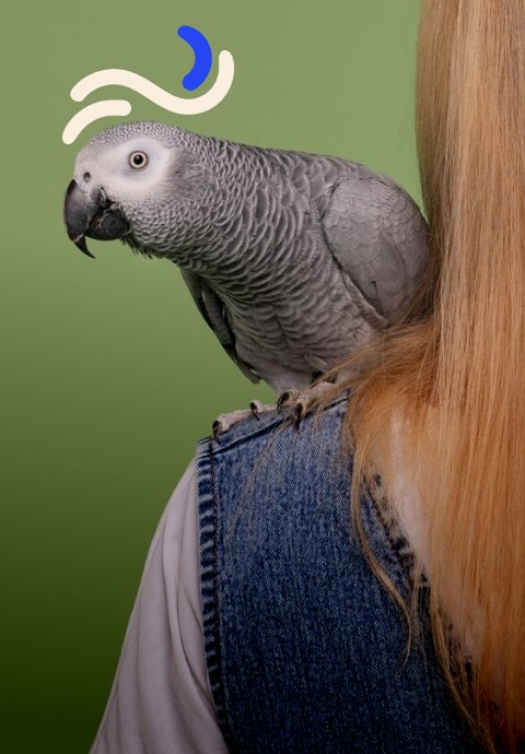 pjur lubricant application technique