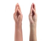 Lovetoy13.5" King Size 仿真前手臂 - Image 2