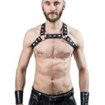 後 庭 拉 珠 - 專業指南和評測