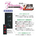 NPG橋本有菜 激震潮吹 Denma 按摩棒 - 黑色產品編號                4562160145190 - Image 5